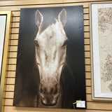 MODEL HOME Art