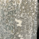 SURYA Model Home Rug