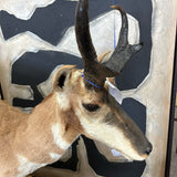 Mount