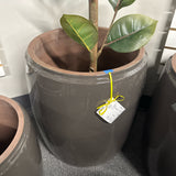 Sample Planter