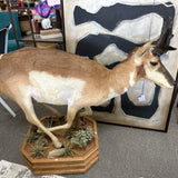 Mount
