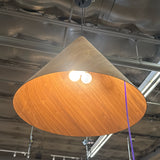 Golden Pendant Light