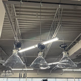 Pendant Light