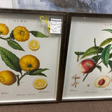 Model Home Wall Art