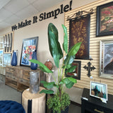 Plant