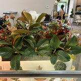 Floral Arrangement