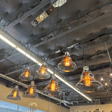 Light Fixture