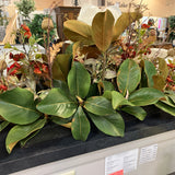 Floral Arrangement
