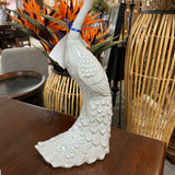 Closeout Accessories
