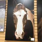 MODEL HOME Art