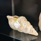 Sample Planter