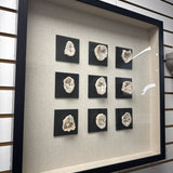 Uttermost Model Home Wall Art