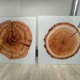 Closeout Wall Art
