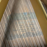 K.Kawai Piano