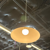 Pendant Light