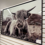 Closeout Wall Art