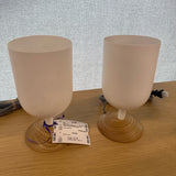 Crate & Barrel Model Home Sconce