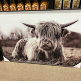 Closeout Wall Art