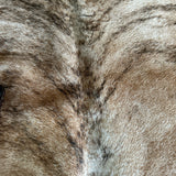 Closeout Rug